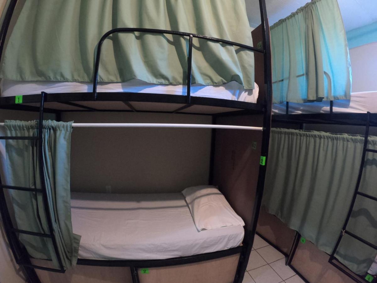 סן איגנאסיו Kawoq Hostel מראה חיצוני תמונה